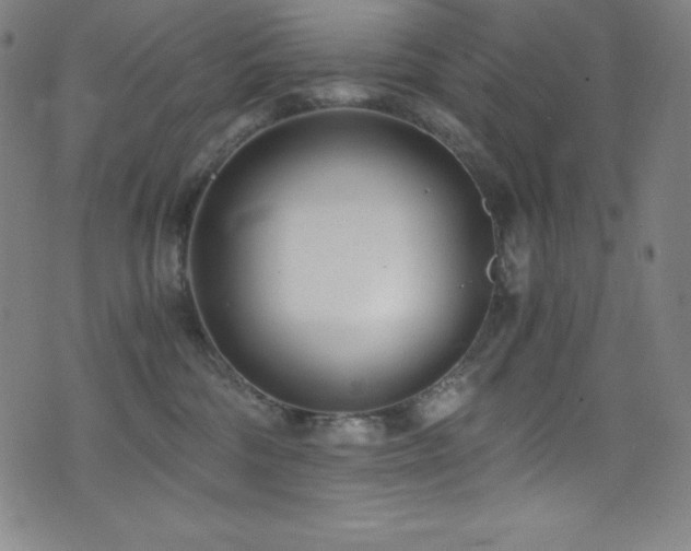 X0000073470330200607281249