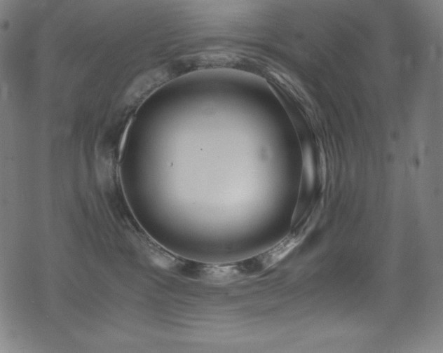X0000073470333200607281249