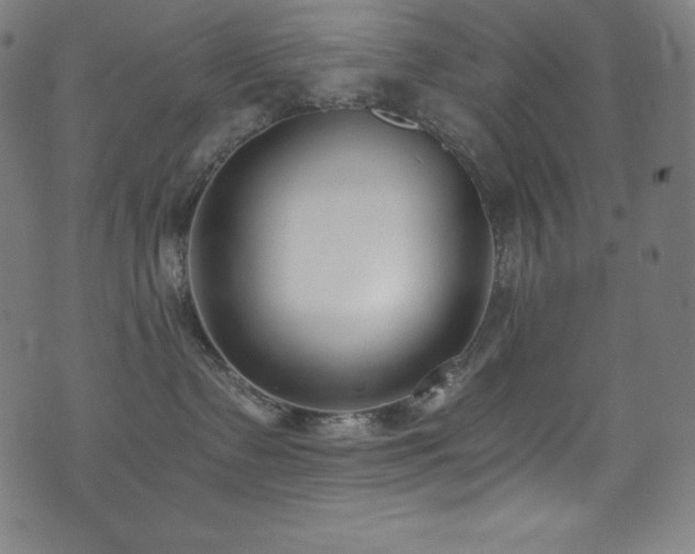 X0000073470335200607281249