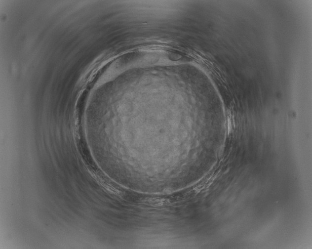 X0000073470339200607281248