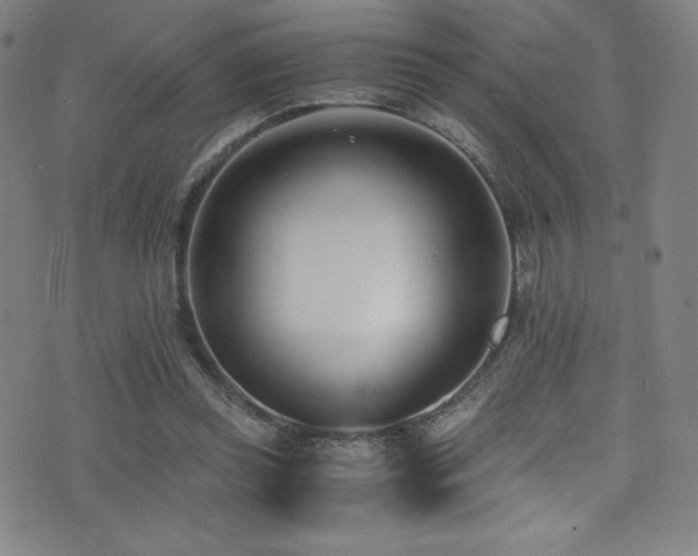 X0000073470349200607281248