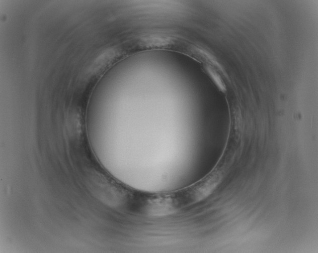 X0000073470362200607281248