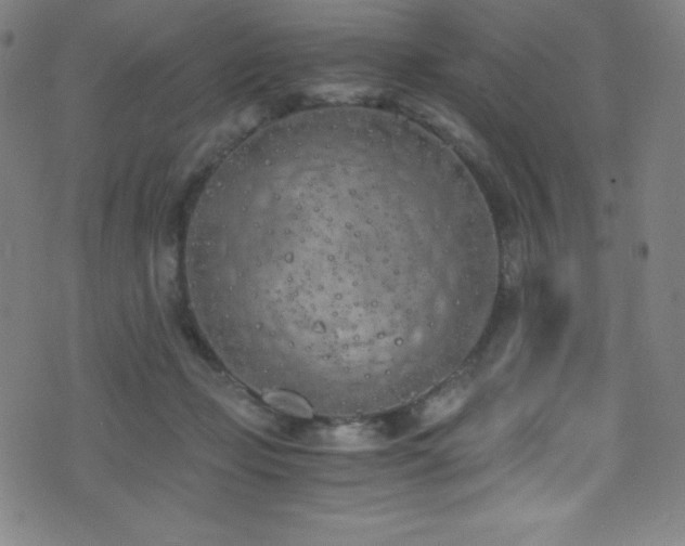X0000073470365200607281248