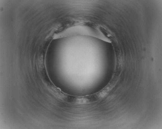 X0000073470376200607281249