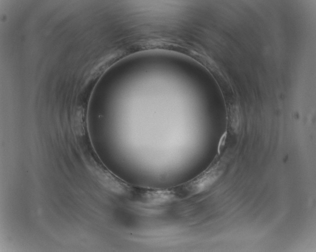 X0000073470378200607281249