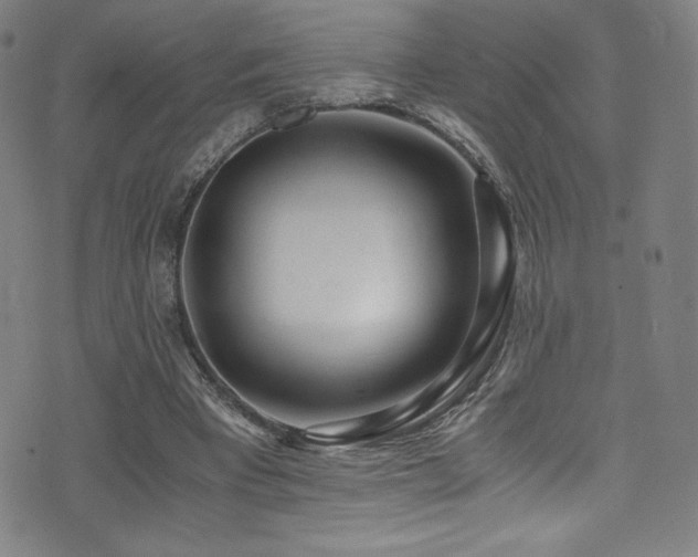 X0000073470393200607281248