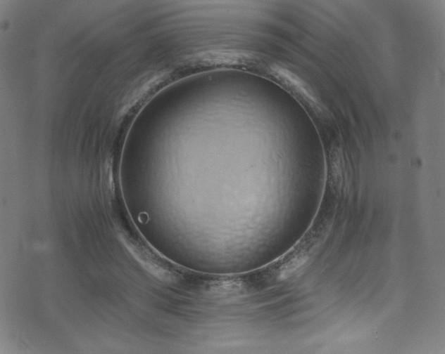 X0000073470398200607281248