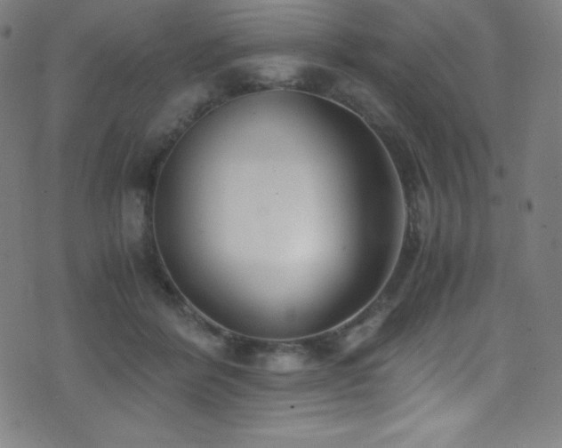 X0000073470412200607281248