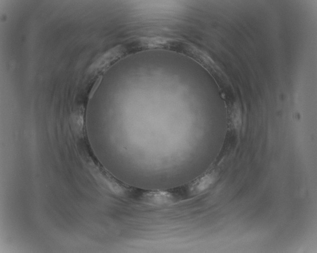 X0000073470427200607281247
