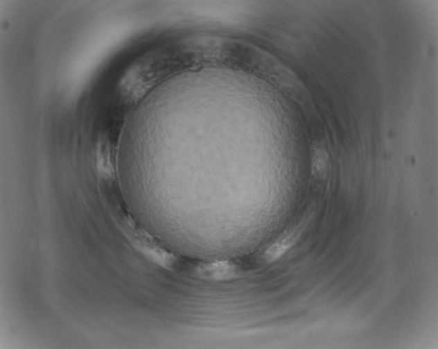 X0000073470431200607281247