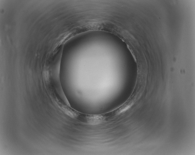 X0000073470432200607281247