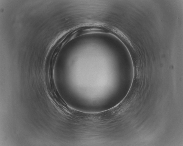 X0000073470436200607281247