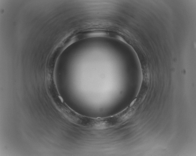 X0000073470456200607281247