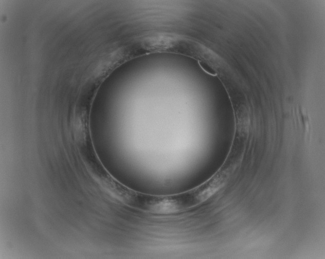 X0000073470460200607281247