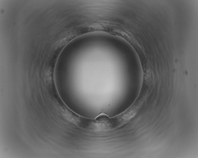 X0000073470466200607281247
