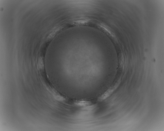 X0000073470467200607281247