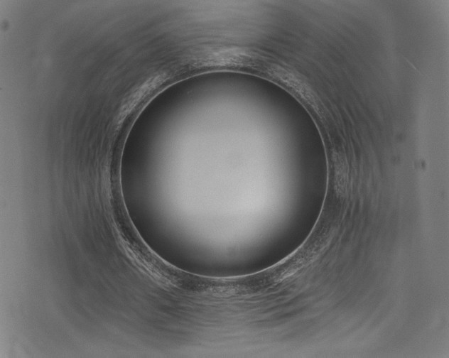 X0000073470482200607281246