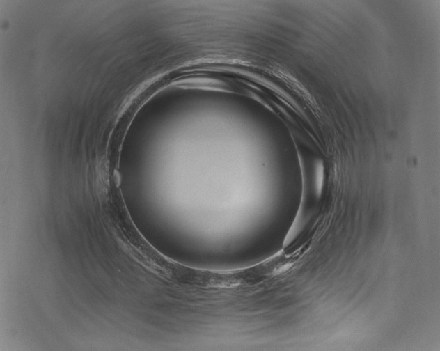 X0000073470484200607281246