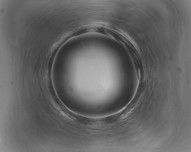 X0000073470485200607281246
