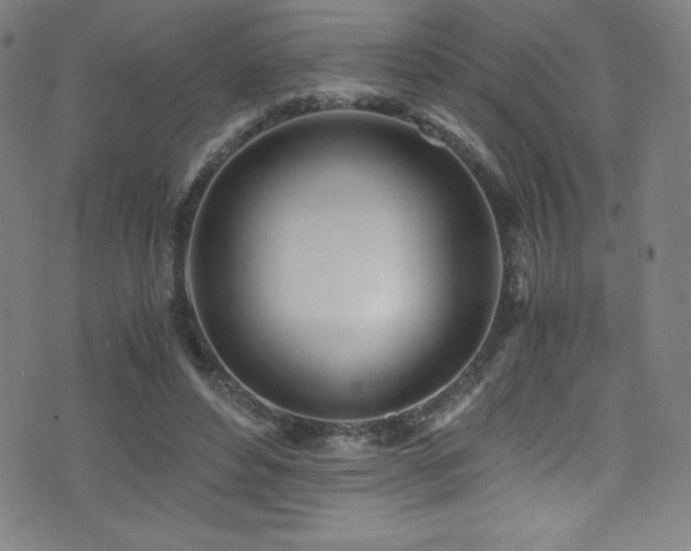 X0000073470496200607281246