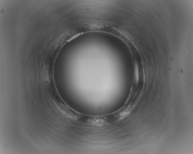 X0000073470512200607281246