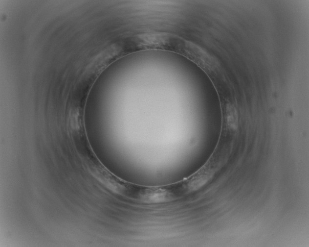X0000073470514200607281246