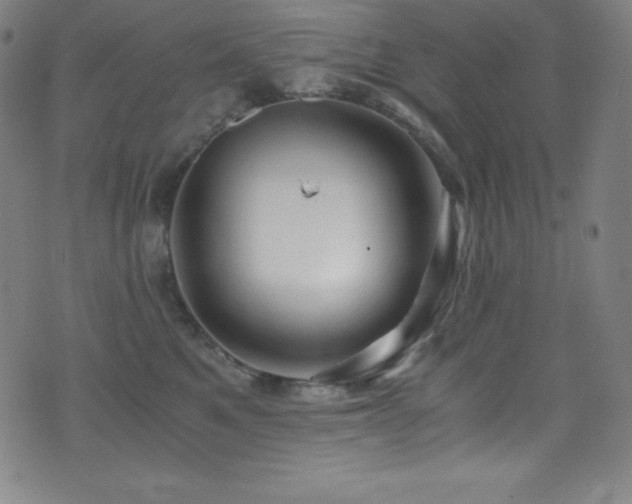 X0000073470521200607281246
