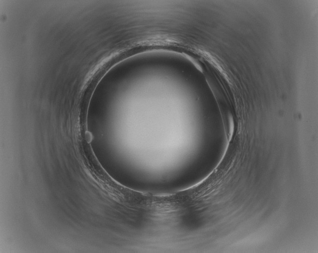 X0000073470531200607281245