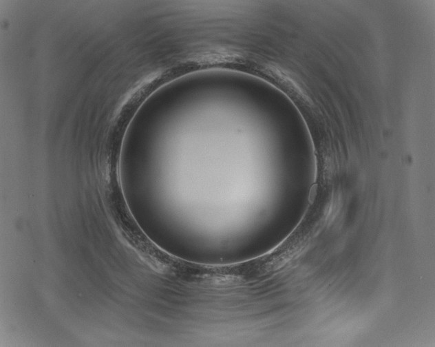 X0000073470539200607281245