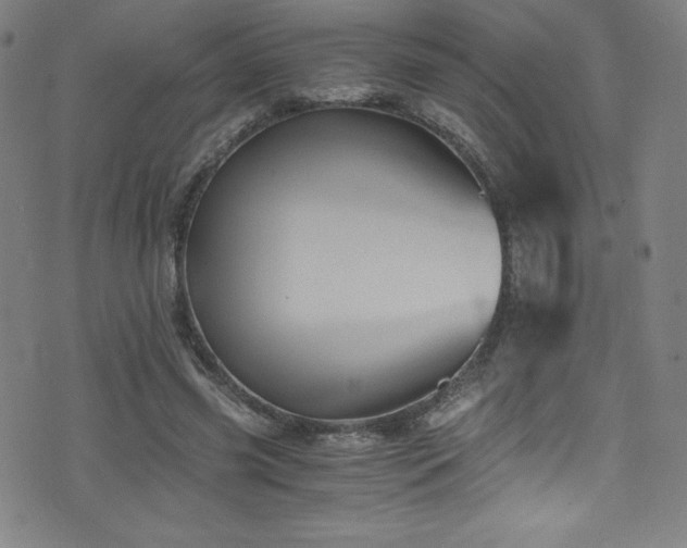 X0000073470541200607281245