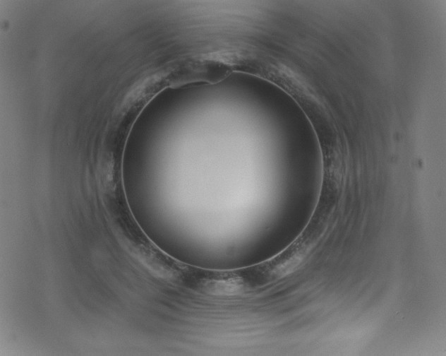 X0000073470548200607281245