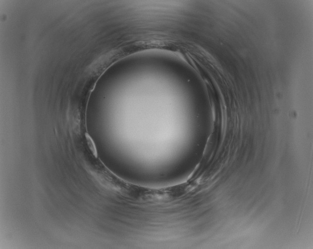X0000073470552200607281245