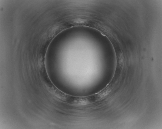X0000073470559200607281245