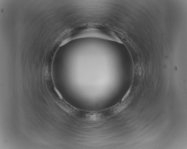 X0000073470564200607281245
