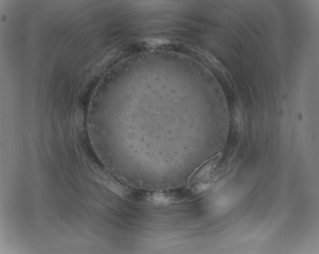 X0000073470565200607281246