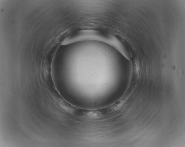 X0000073470566200607281246