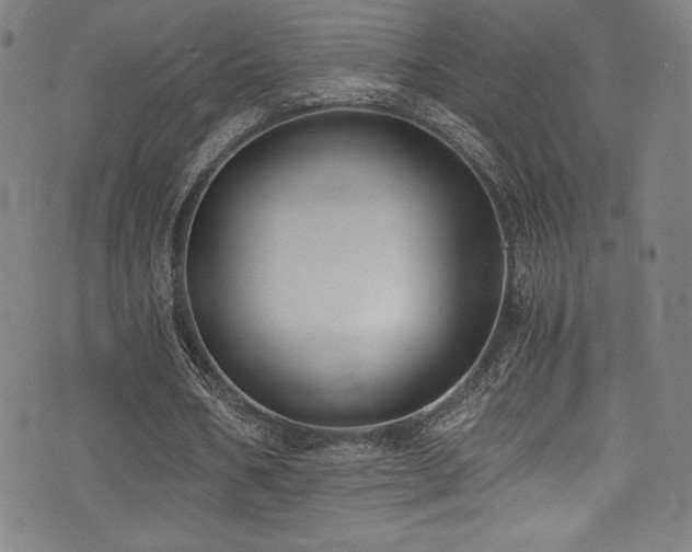 X0000073470578200607281245