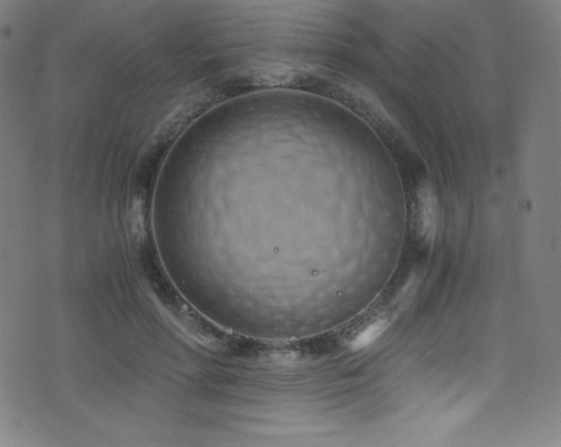 X0000073470598200607281245