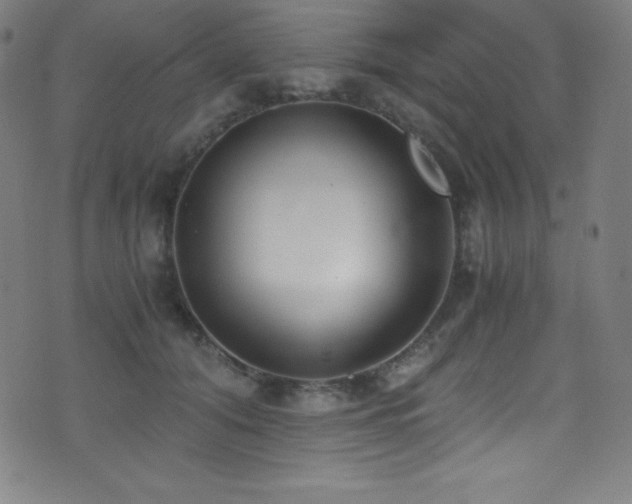 X0000073470608200607281244