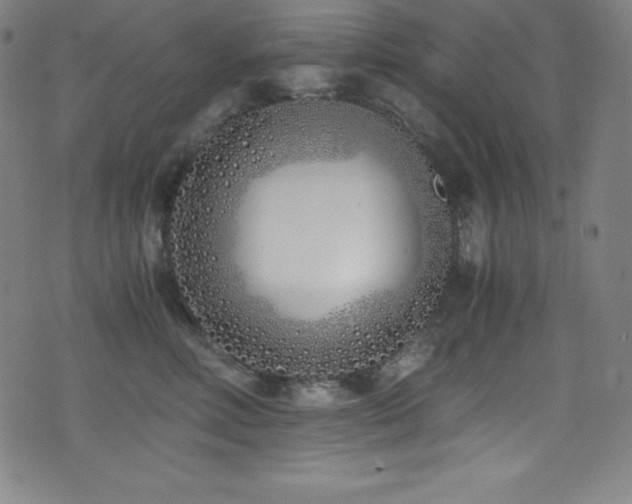 X0000073470618200607281244
