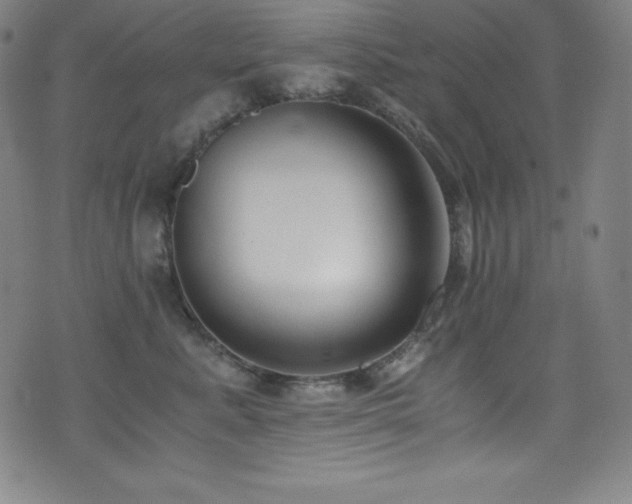 X0000073470619200607281244