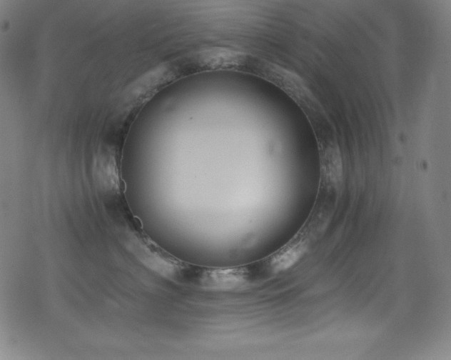 X0000073470622200607281244