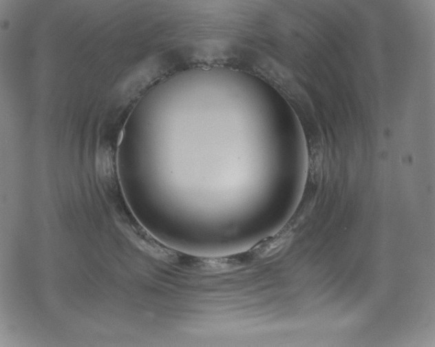 X0000073470623200607281244