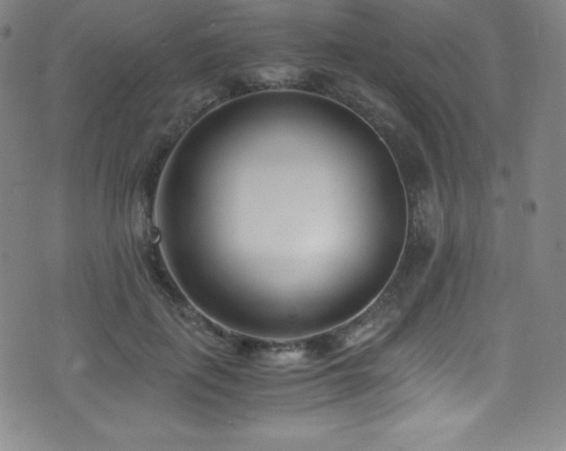 X0000073470651200607281244