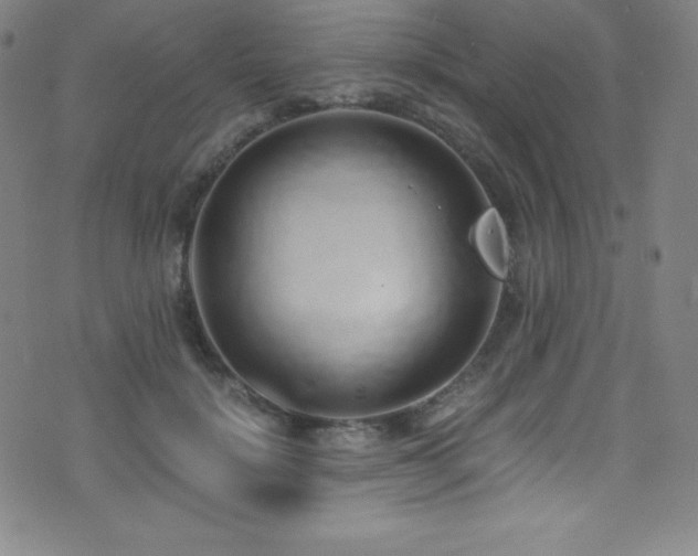 X0000073470652200607281244