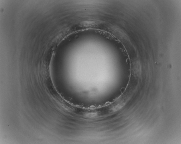 X0000073470653200607281244