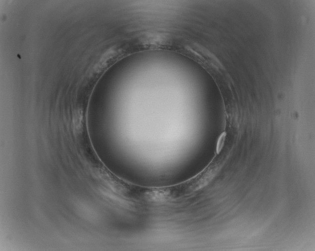 X0000073470660200607281244