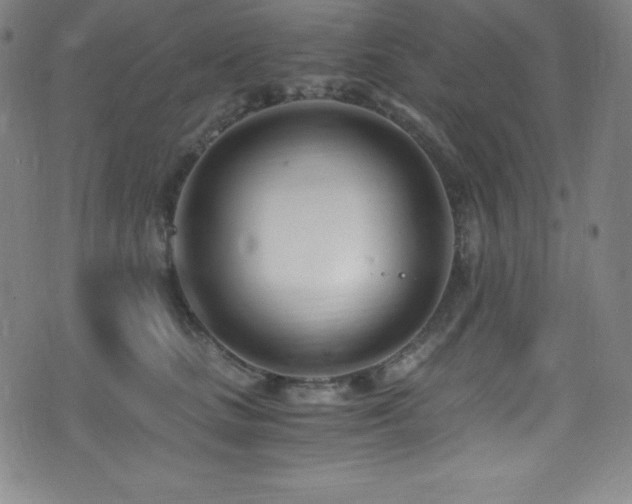 X0000073470661200607281244