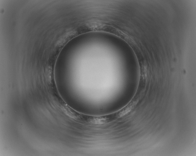 X0000073470664200607281244