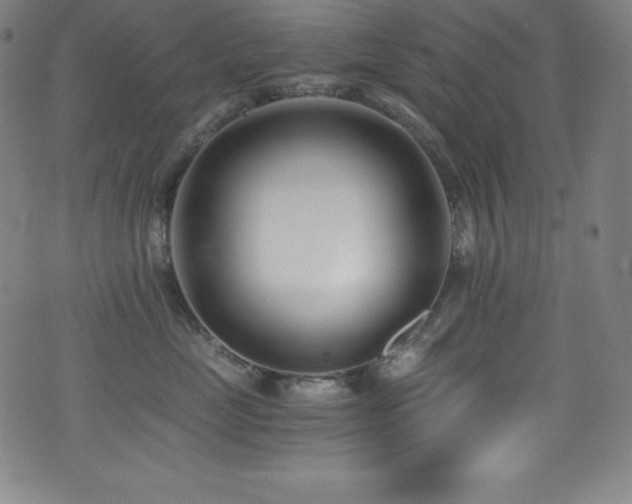 X0000073470669200607281244